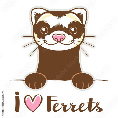 Cute ferret with lettering photo