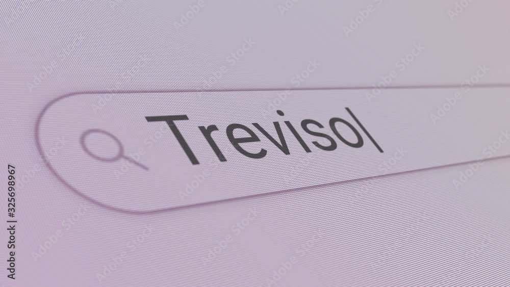 Treviso Search Bar Close Up Single Line Typing Text Box Layout Web Database Browser Engine Concept Treviso Search Bar Close Up Single Line Typing Text Box Layout Web Database Browser Engine Concept