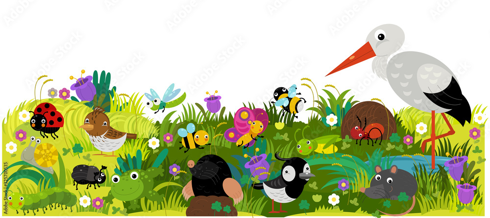 cartoon scene with different european animals rodents and bugs on the forest meadow illustration