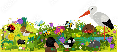 cartoon scene with different european animals rodents and bugs on the forest meadow illustration © honeyflavour