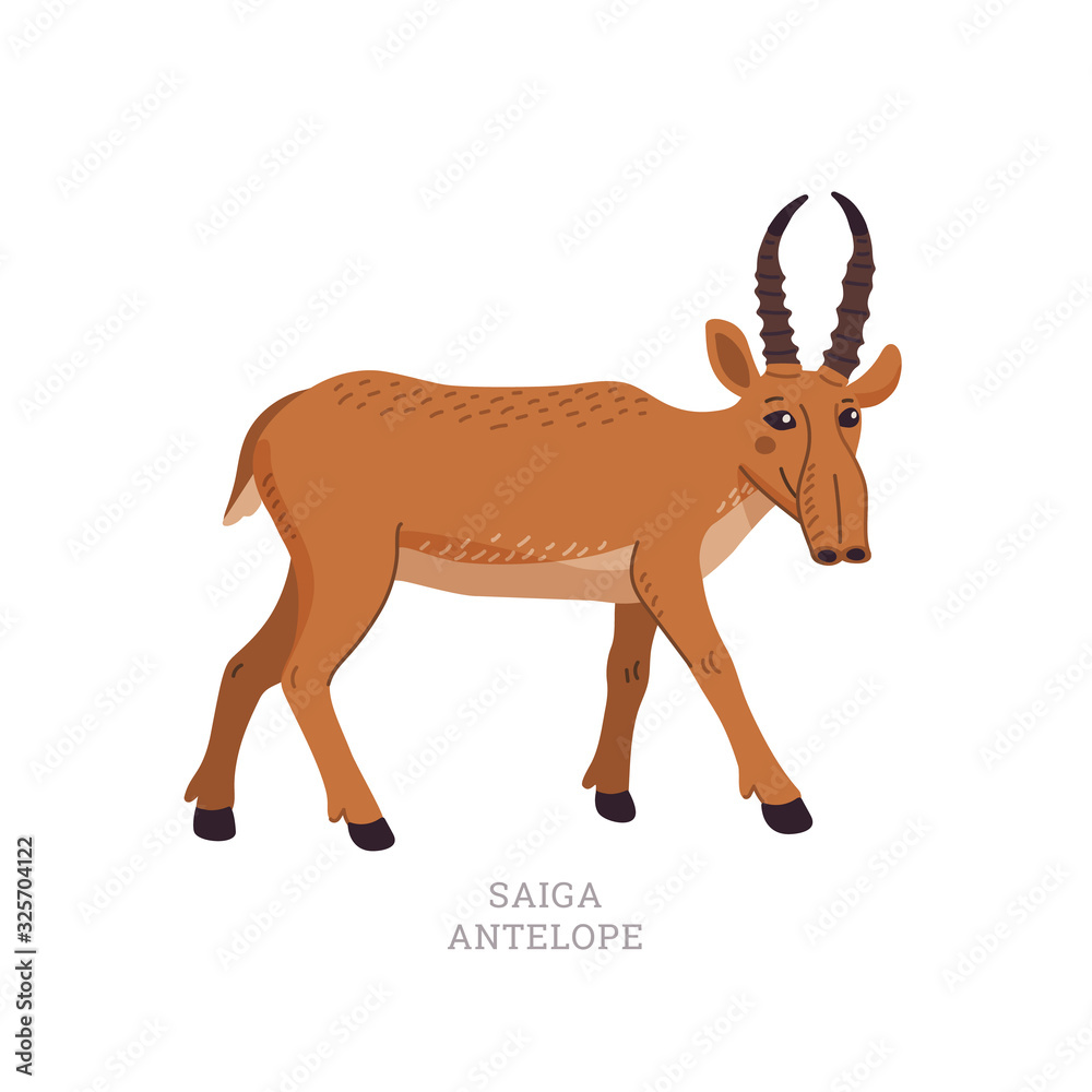 Fototapeta premium Rare animals collection. Saiga antelope. Saiga tatarica, endangered antelope. Flat style vector illustration isolated on white background.