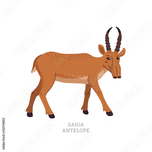 Rare animals collection. Saiga antelope. Saiga tatarica, endangered antelope. Flat style vector illustration isolated on white background.