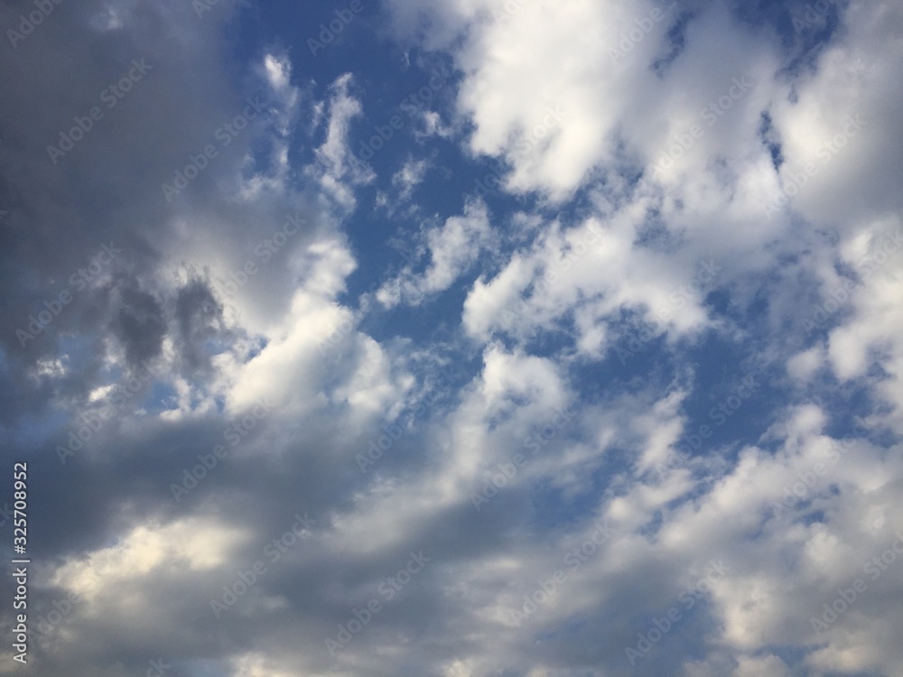 Fototapeta premium 空