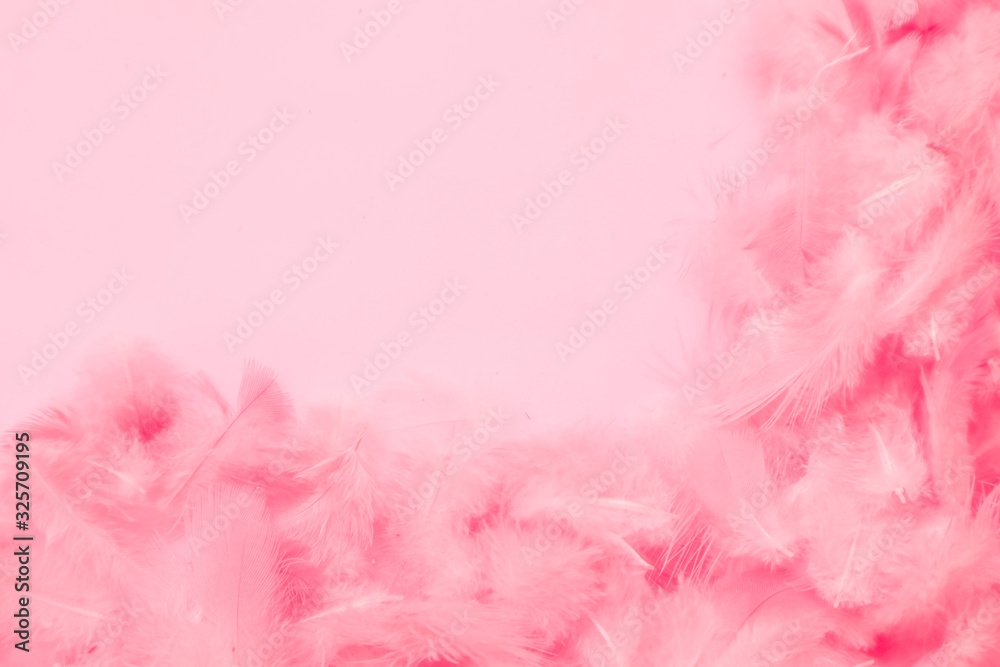 Beautiful abstract colorful white and pink feathers on white background and soft white feather texture on white pattern and light pink background valentine day Beautiful abstract colorful white and pink feathers on white background and soft white feather texture on white pattern and light pink background valentine day