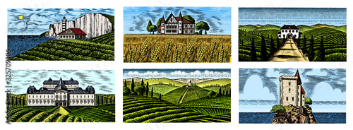 Vineyards Set. Vine plantation for bottle labels. Scenic view of French or Italian engraved landscape. Mountains Rural Fields Wheat Hills. Hand drawn vintage sketch for alcohol, whiskey beer poster.