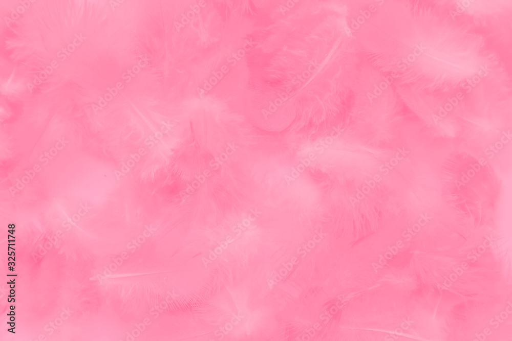 Beautiful abstract colorful white and pink feathers on white background and soft white feather texture on white pattern and light pink background valentine day