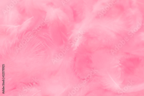 Beautiful abstract colorful white and pink feathers on white background and soft white feather texture on white pattern and light pink background valentine day
