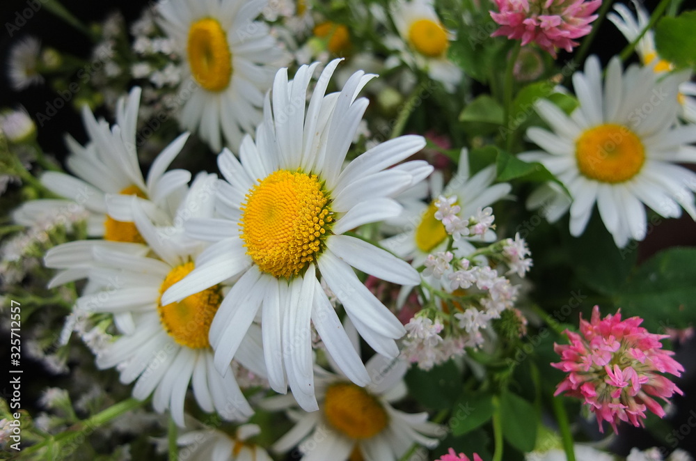 Obraz premium Bouquet of various wild flowers. Selective focus.