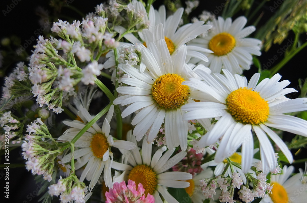 Obraz premium Bouquet of various wild flowers. Selective focus.