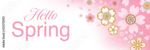 Cherry blossom flower confetti - banner ratio - included words "Hello spring"