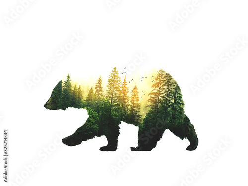 Bear and forest double exposure