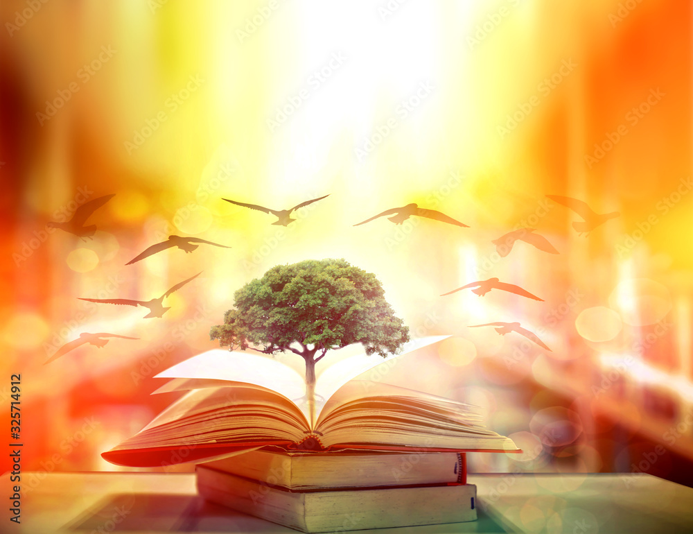 The concept of education by planting knowledge trees and birds flying ...