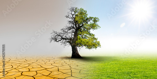 Klimawandel - Landschaft mit ausgetrockneter Erde; Wiese und Eichenbaum