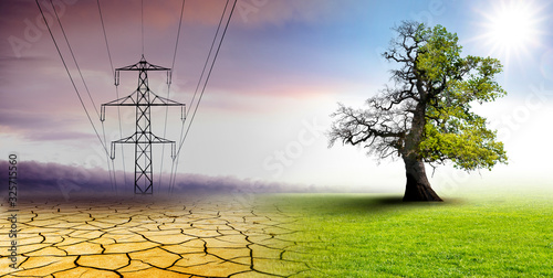 Klimawandel - Landschaft mit Stromleitung und Eichenbaum