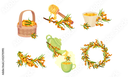 Sea Buckthorn Berries Rested in Basket and Arranged in a Wreath Vector Set