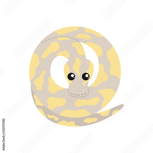 Vector illustration of a banana ball python.