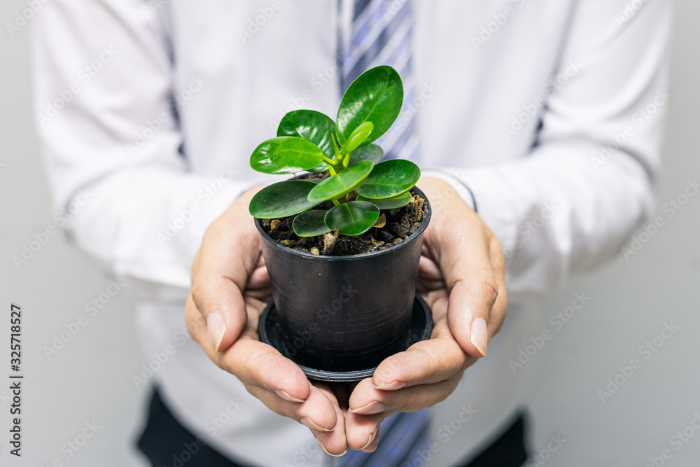 man holding plant in a pot man holding plant in a pot