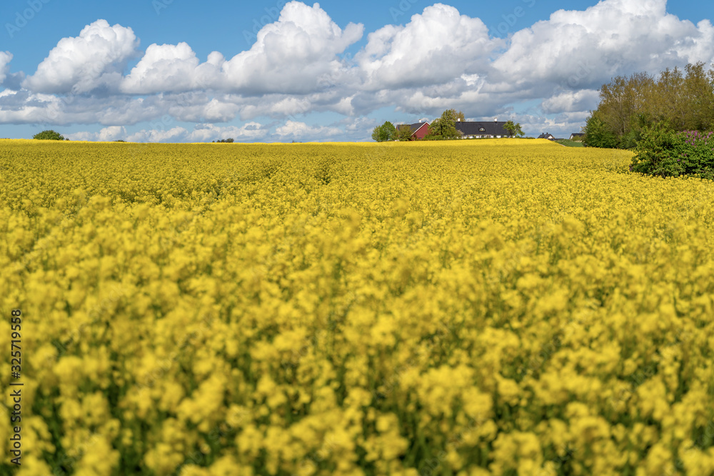 Farm house in the middle of farmland and fields, selective focuse