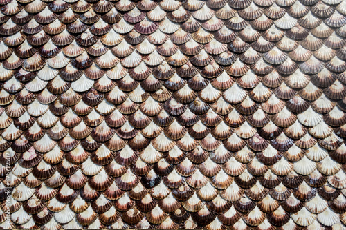 Texture formed of colourfull seashells with a white part in the middle