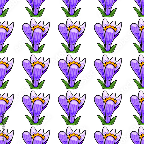 Vector crocuses floral seamless pattern.