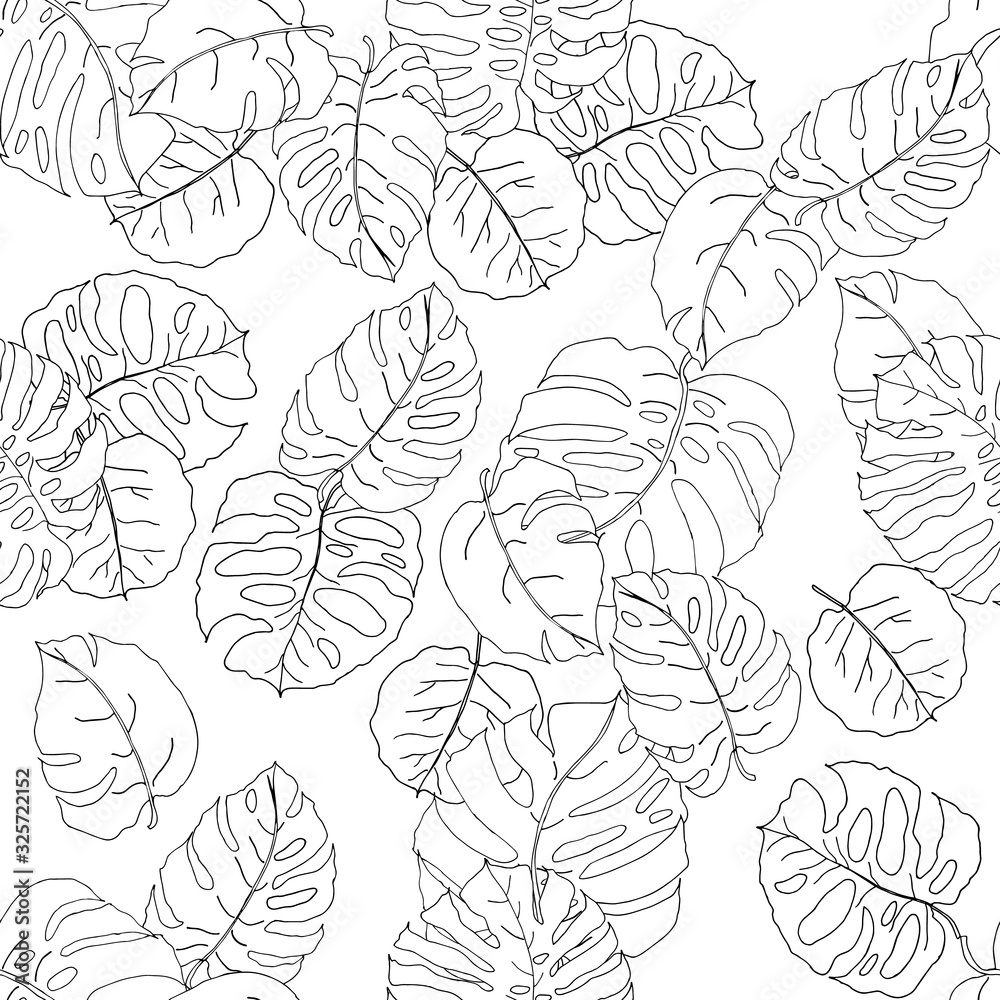  Seamless pattern with hand draw monstera leaves