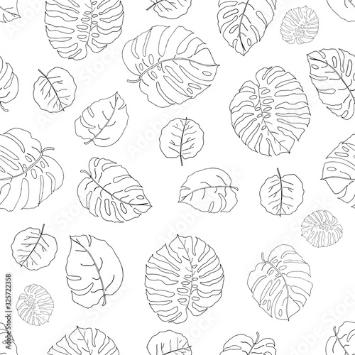  Seamless pattern with hand draw monstera leaves