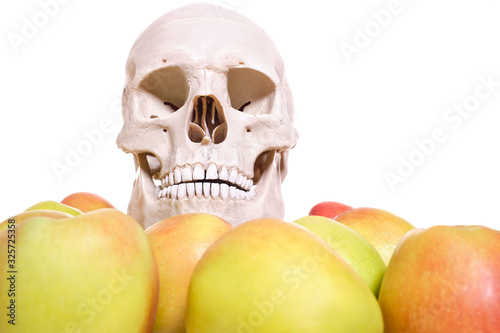 Skull with apples  photo