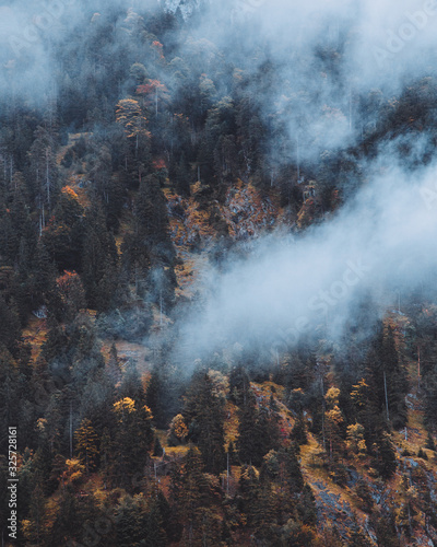 Bavarian mountain fog in autumn