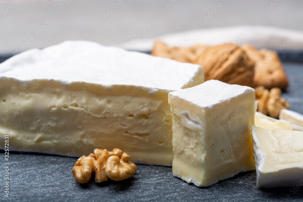 Cheese collection, piece of French brie cheese with white mold