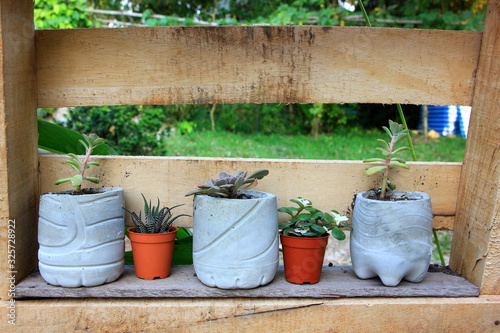 A small cactus in a cement pot push wooden table.