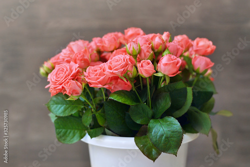 Beautiful misty bubbles roses of coral or peach pink color o n the grey wooden background in the white vase pot with free copy space in the right