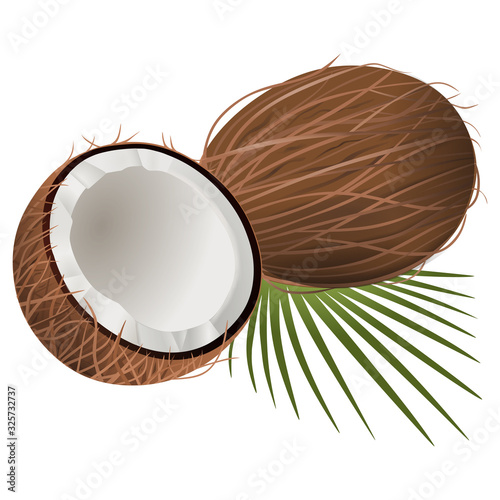 coconut isolated on white 