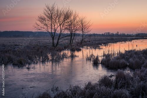 Dawn over the Pilica backwaters near Przybyszew  Masovia  Poland