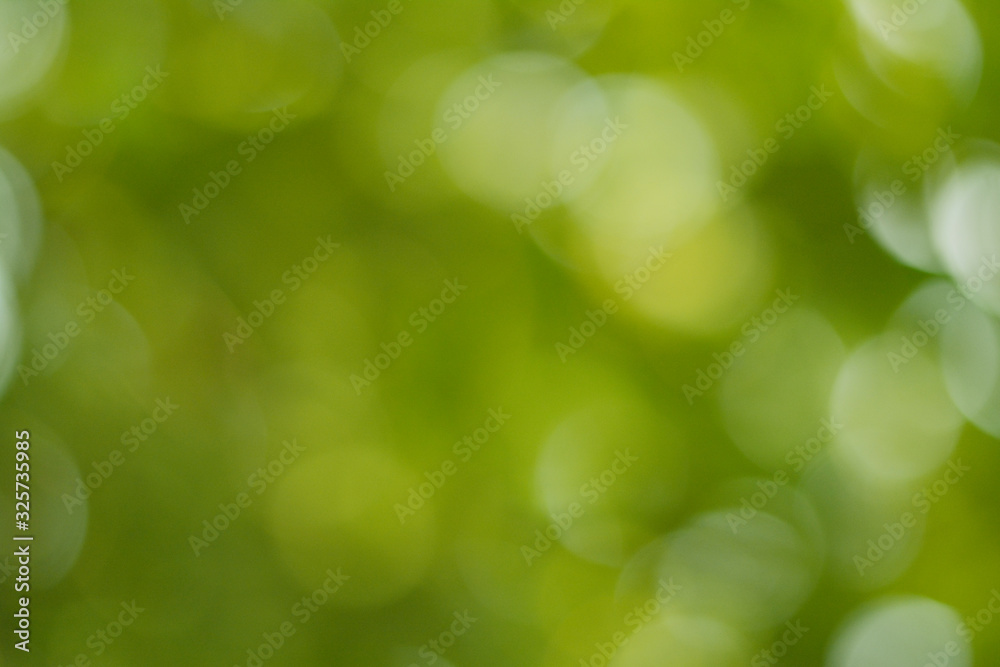 abstract green bokeh background abstract green bokeh background