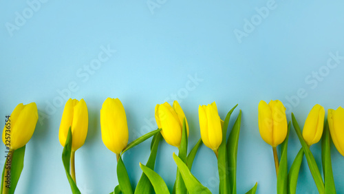 Spring yellow tulips border on blue background. 8 March Womens day  Mothers day or Easter greeting concept. Copyspace.