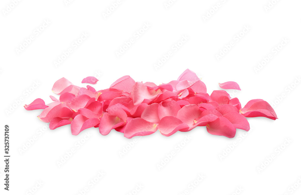 Fototapeta premium Pile of fresh pink rose petals on white background