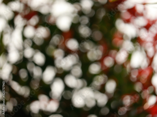 abstract green red natural color background