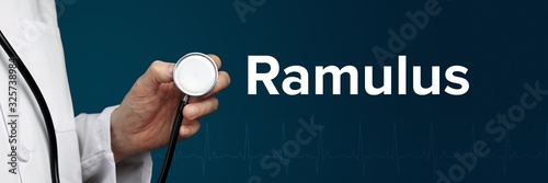 Ramulus. Arzt im Kittel hält Stethoskop. Das Wort Ramulus steht daneben. Symbol für Medizin, Krankheit, Gesundheit photo