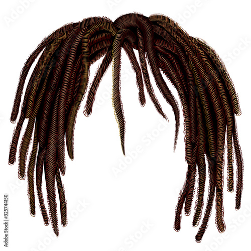 trendy african long  hair dreadlocks .  realistic  3d . fashion beauty style .hairstyle wig photo