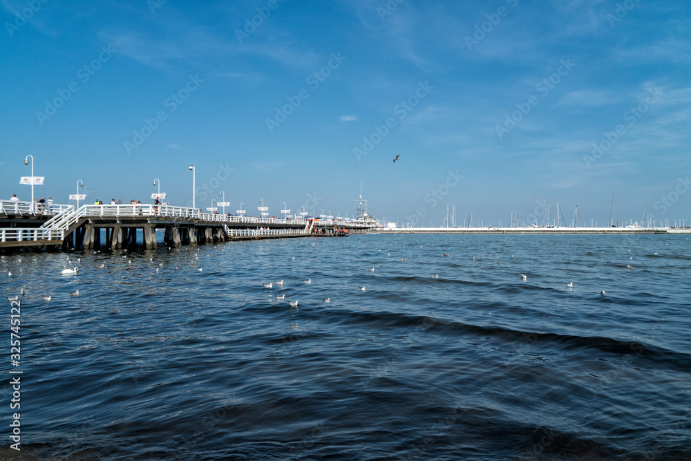 Sopot city, Poland. Bay of Gdansk, white wooden pier and flock of swans on beach