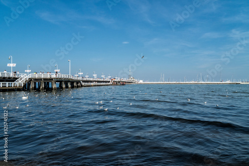 Sopot city, Poland. Bay of Gdansk, white wooden pier and flock of swans on beach