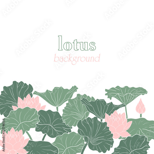 .Vector background or frame with flowers and lotus leaves.Flower composition. Hand-drawn  illustration.