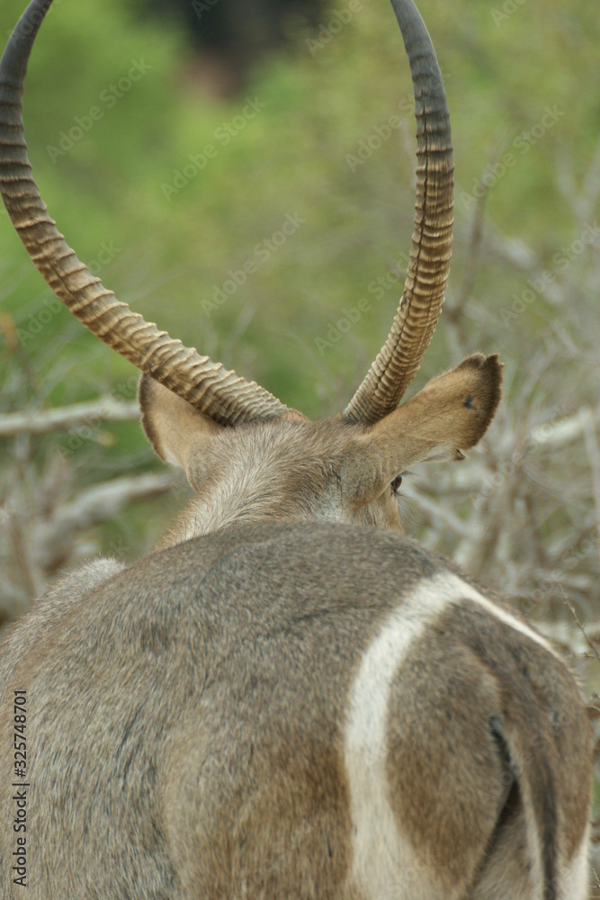 Fototapeta premium SONY DSC