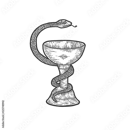 Bowl of Hygieia symbols of pharmacy sketch engraving vector illustration. T-shirt apparel print design. Scratch board imitation. Black and white hand drawn image.