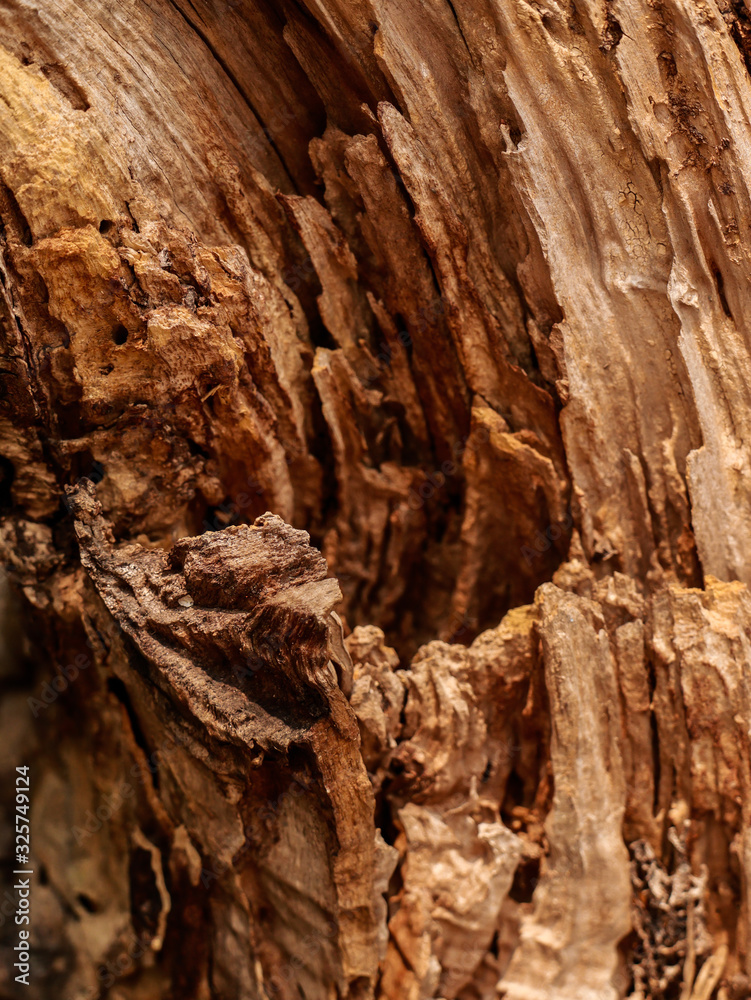 dark brown old wooden background dark brown old wooden background