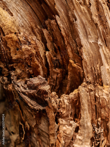 dark brown old wooden background