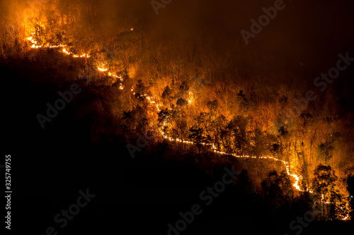 Forest fires, red and orange forest fires at night in the dry season