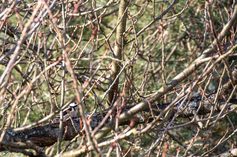 Wer versteckt sich hier Wer versteckt sich hier