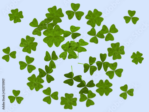 Background of three and four leaf clover leaves on a light background. 3D Illustration. St Patrick's Day