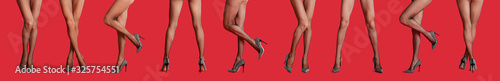 Collage of women wearing tights on red background, closeup of legs. Banner design